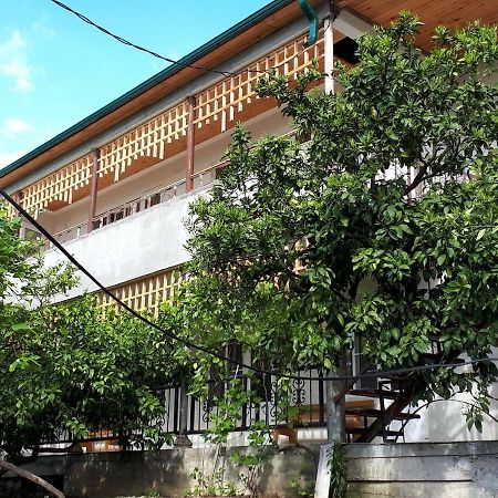 Inzhir Guest House New Athos Esterno foto