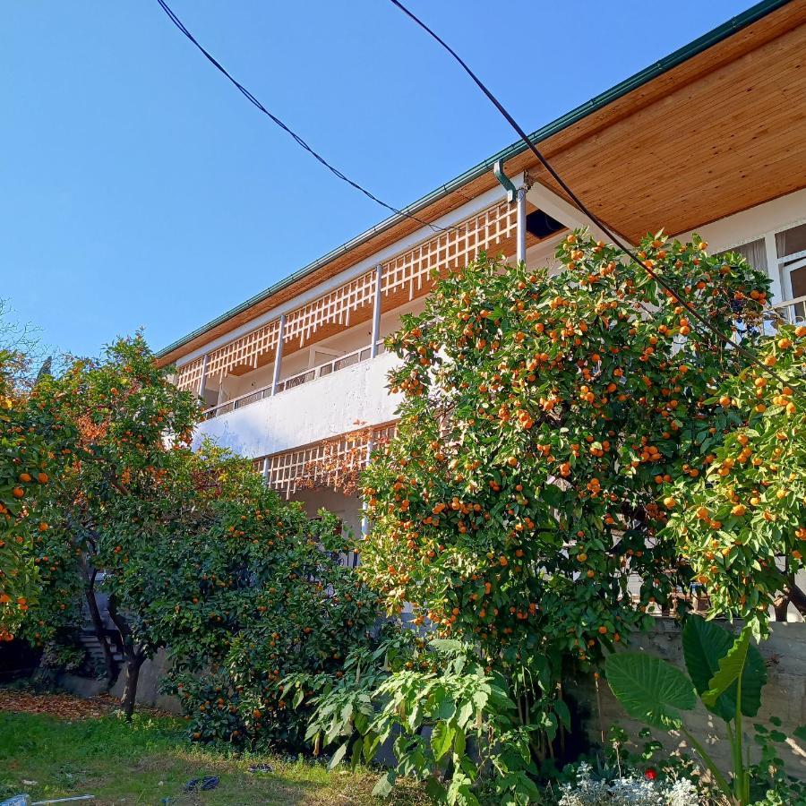 Inzhir Guest House New Athos Esterno foto