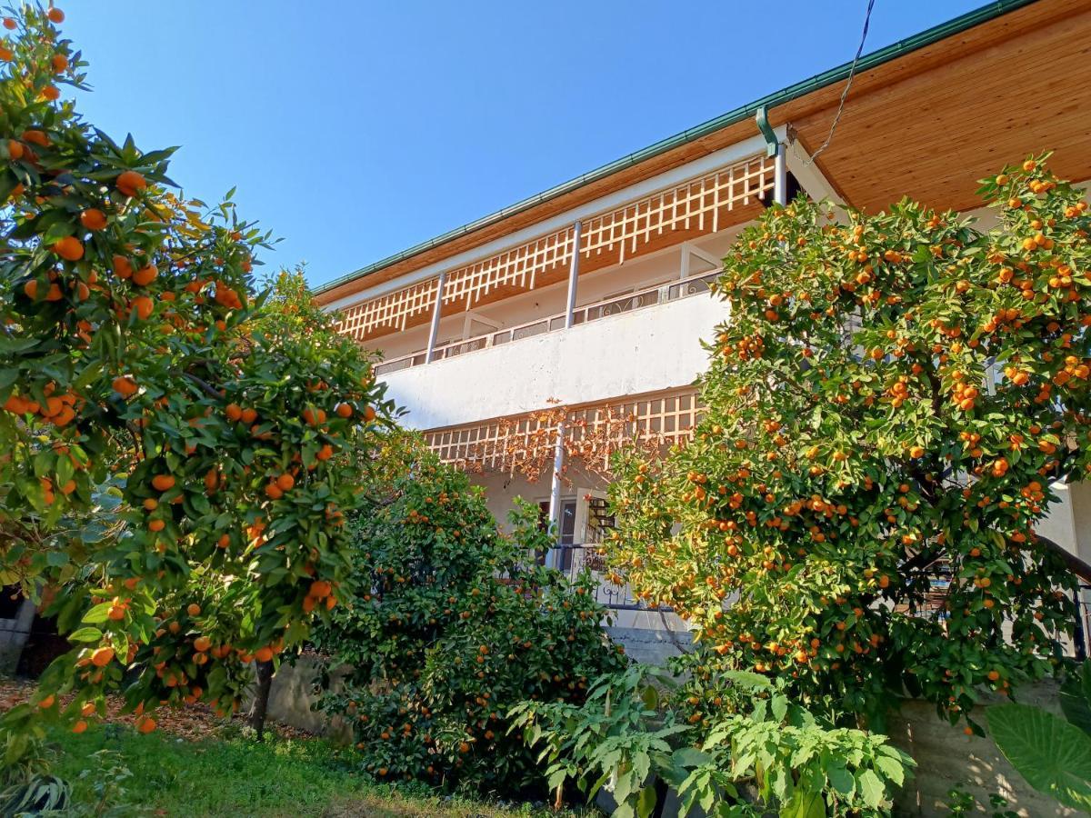 Inzhir Guest House New Athos Esterno foto