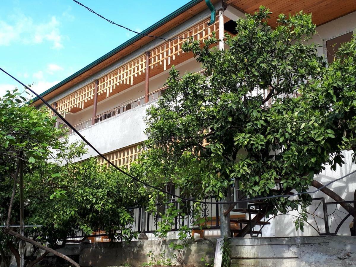 Inzhir Guest House New Athos Esterno foto